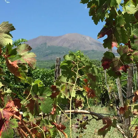Vesuvio, Pompei E Ercolano * 트레카세