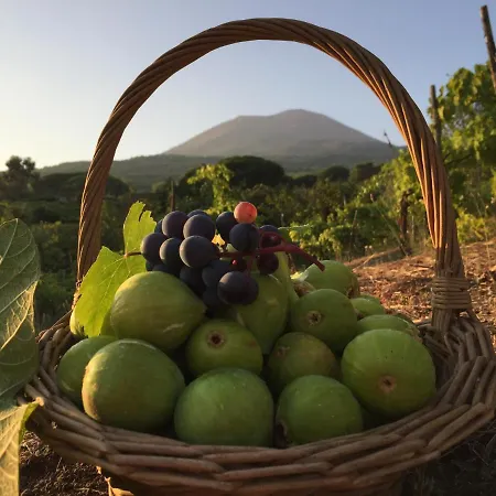 Vesuvio, Pompei E Ercolano 아파트
